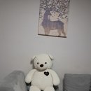 아미카사 | 강릉 오션뷰 숙소 <아미카사> 추천