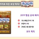 리코리카 이미지