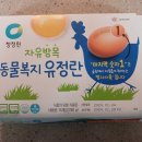 와이제이푸드 이미지