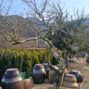 태림농원 이미지