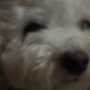 가평더뮤즈펜션 이미지