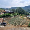 충도리농장 이미지