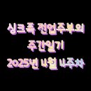 12년차 싱크족 전업주부의 주간 일기 2025년 4월 4주차