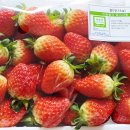 계백농장 이미지