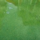 덴바스타 랜드 이미지