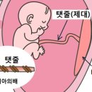 참신미용실 네이버블로그