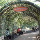 대림어린이공원 이미지