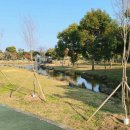 제주특별자치도지체장애인협회 서귀포시지회 이미지