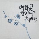 캘리그라피&꽃그림 이미지