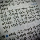 세종당구나라 이미지