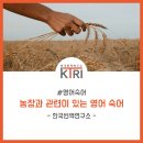 부신농장 이미지