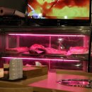 수입육전문식당 이미지