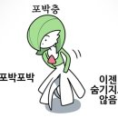 강철체육관