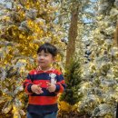 노엘어린이집 | 더현대서울 아뜰리에 드 노엘 해리의 크리스마스공방 평일 현장웨이팅 후기