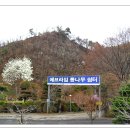 에브라임캠핑장 이미지