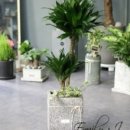 수지힘찬한의원 이미지