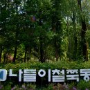 철쭉동산 이미지