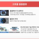 신항만가스 이미지