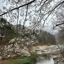 도마치로 | 경기도 캠핑장 추천 도마치캠핑장 아이와 함께 가기 좋은 곳