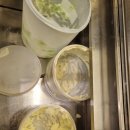 애슐리퀸즈계양롯데마트점 이미지