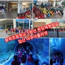 용학초등학교 이미지