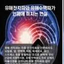 골든샵 이미지