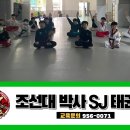더바른태권도장 이미지