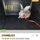 신영재동물병원 이미지