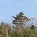 남악사지 이미지