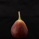 카페 정향(cafe 정향)