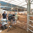 임실목장 이미지