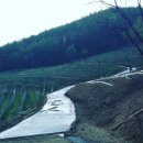 가은4호 이미지