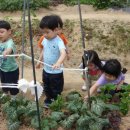 상근농장 이미지