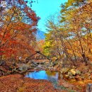 청명 141 이미지