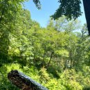 김밥만두국가대표 이미지