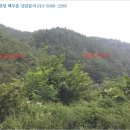 진골천 이미지