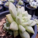 김제농장 이미지