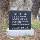 은티농장 Daum카페