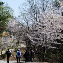 오륜대로 이미지