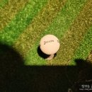 당진한울골프존 이미지