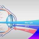 으뜸플러스안경 시흥배곧점 이미지