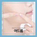 진정한의원 이미지