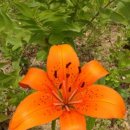 솔빛학교 이미지