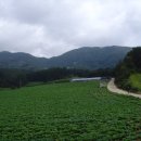 [수도지맥1 산행기] 소사고개~초점산~국사봉~배티고개(2012년 9월 4일) 이미지