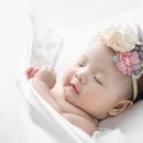 귀하도다 이미지