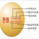 싱싱계란 이미지