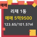 리채공인중개사사무소 이미지