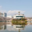 우석대학교 태권도교육센터 이미지