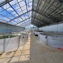 조정현농장 이미지