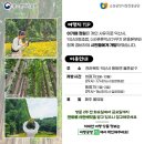 익산구시장 이미지